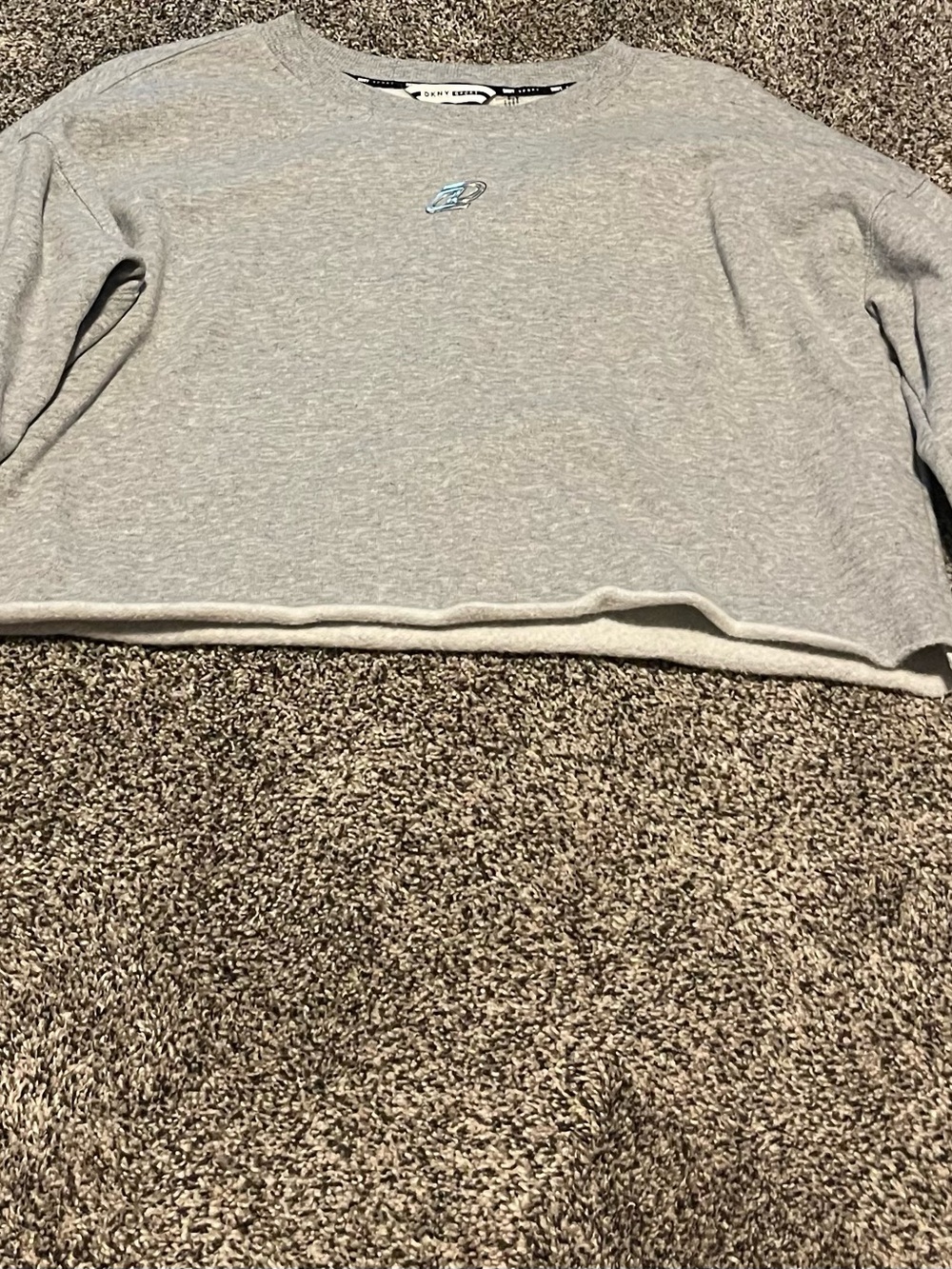 DKNY Light Gray Cropped Sweatshirt with Blue Chest Logo